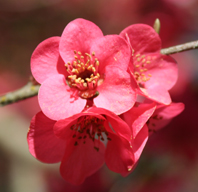 Ｐ７２-０５４Ｆ