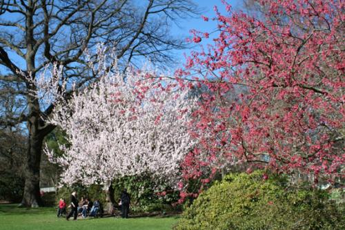 Ｐ７２-０６１Ｆ