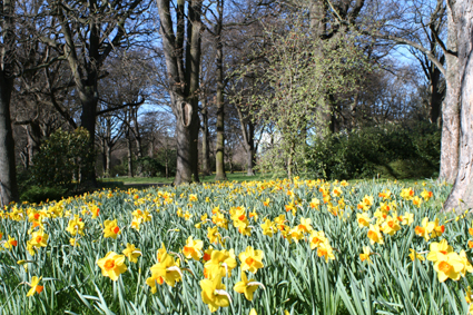 Ｐ７２-０７９Ｆ