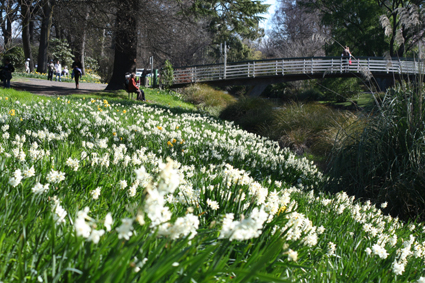 Ｐ７２-０９６Ｆ