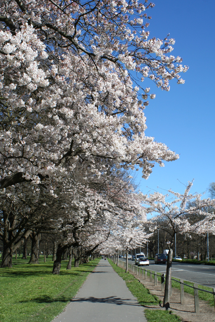 Ｐ７３-０１６Ｆ