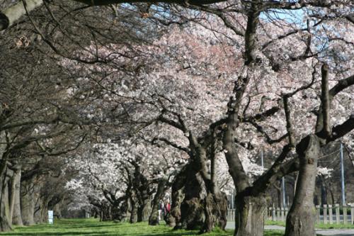 Ｐ７３-０１８Ｆ