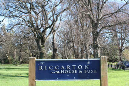 Ｐ７３-０２７Ｆ