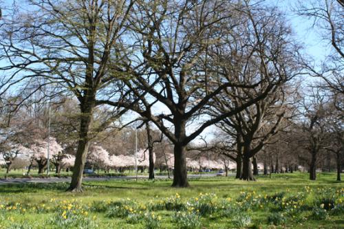 Ｐ７３-０７６Ｆ