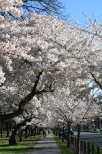 Ｐ７３-０８６Ｆ