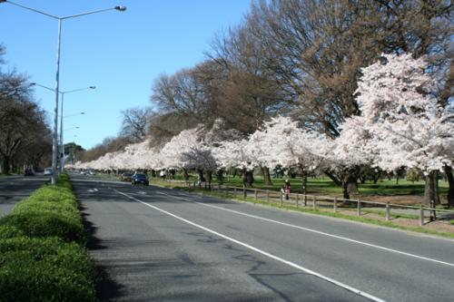 Ｐ７３-０９５Ｆ