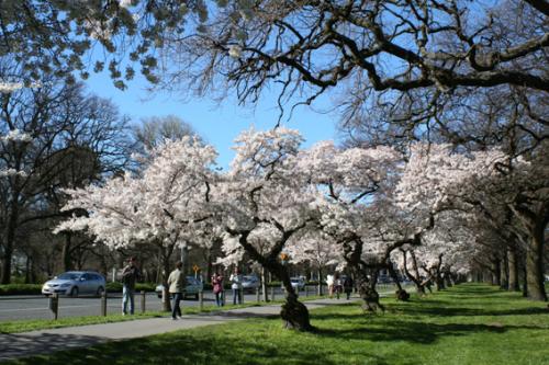 Ｐ７３-１００Ｆ