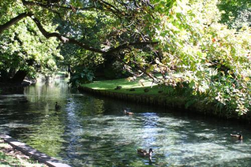 Ｐ４０-０５０Ｆ