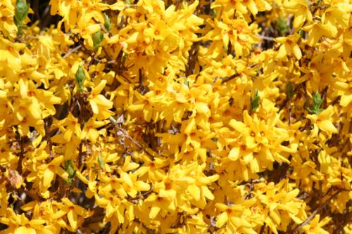 Ｐ７４-０４５Ｆ