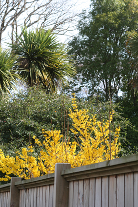 Ｐ７４-０５４Ｆ