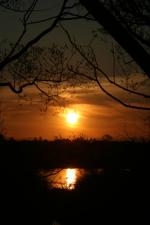 Ｐ７４-１００Ｆ