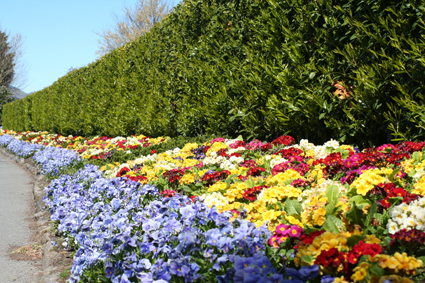 Ｐ３５-０６３Ｆ