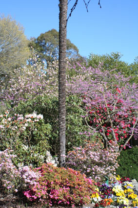 Ｐ７５-０２６Ｆ