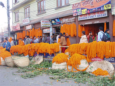 色鮮やかなマリーゴールドが山積み