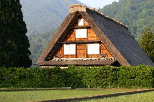 新緑から初夏へと季節は移り本格的な夏 1
