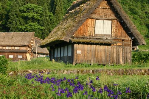 新緑から初夏へと季節は移り本格的な夏 2