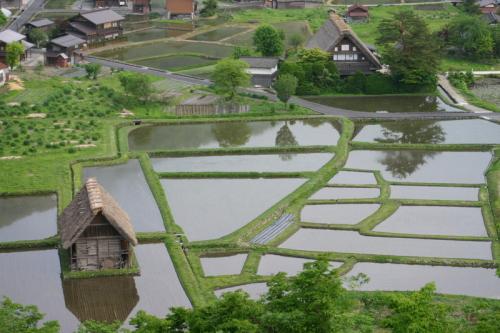 新緑から初夏へと季節は移り本格的な夏 4
