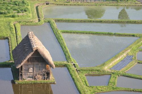 新緑から初夏へと季節は移り本格的な夏 5