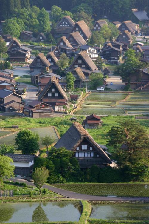 新緑から初夏へと季節は移り本格的な夏 3