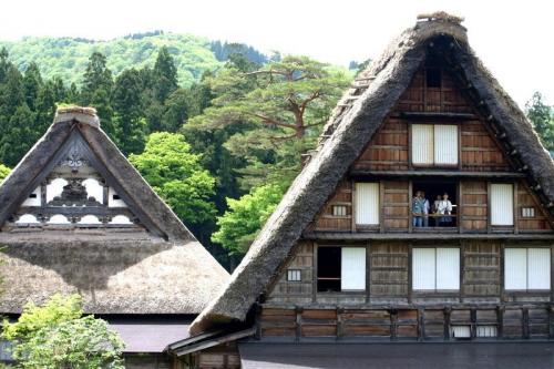 新緑から初夏へと季節は移り本格的な夏 7