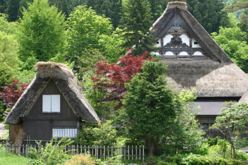 新緑から初夏へと季節は移り本格的な夏 8