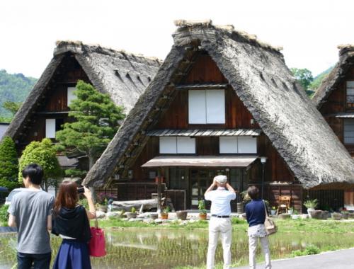 新緑から初夏へと季節は移り本格的な夏 9
