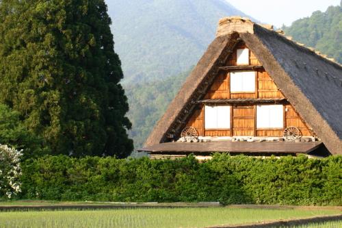 新緑の爽やかな空気を胸いっぱい 4