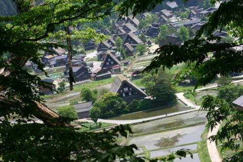 ジメジメして、気が重くなりがちの季節1