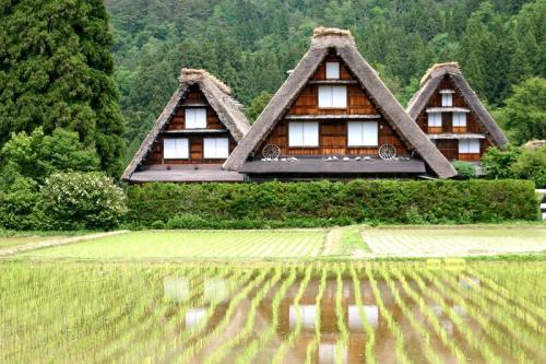 ジメジメして、気が重くなりがちの季節5