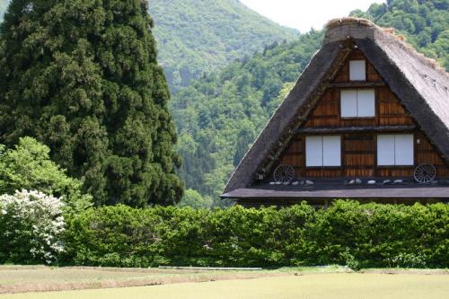 ジメジメして、気が重くなりがちの季節6