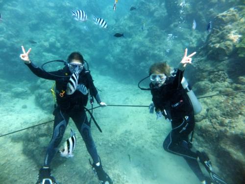 サイパン 体験ダイビング