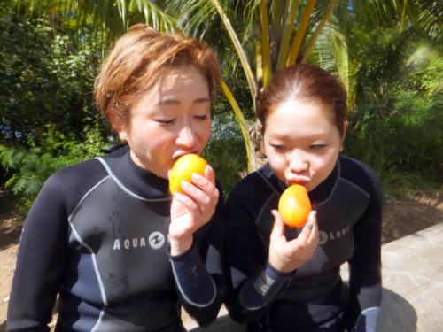 サイパンダイビングショップ