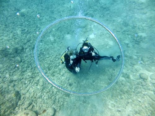 サイパン ダイビング