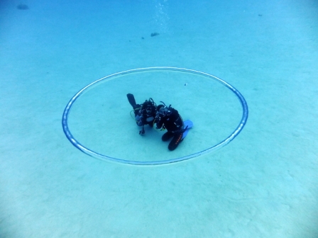 サイパン ダイビング