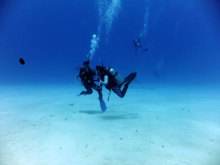 サイパン ダイビングライセンス