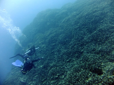 サイパン ダイビング