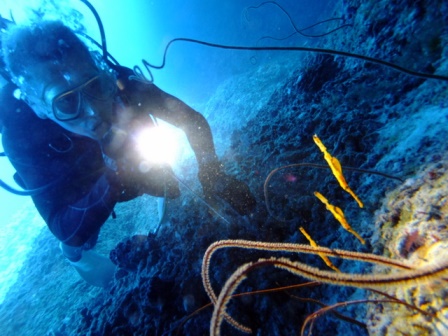 サイパン ダイビング