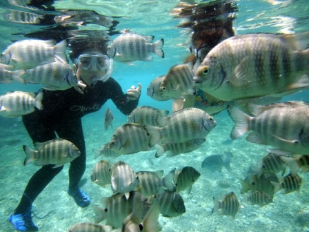 サイパン ダイビング