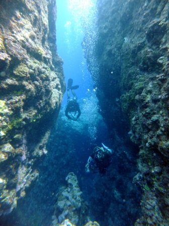 サイパン ダイビング