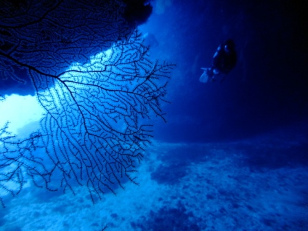 サイパン ダイビング