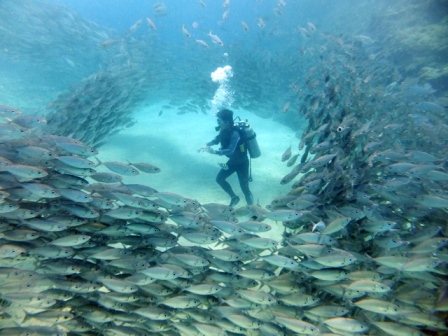 サイパン ダイビング