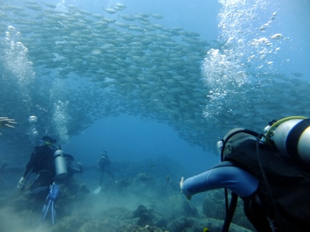 サイパン ダイビング