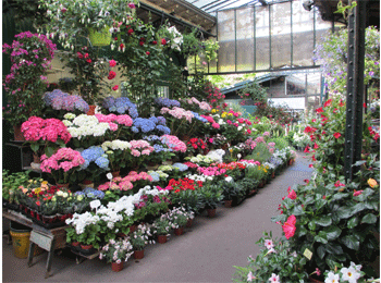 エリザベス二世