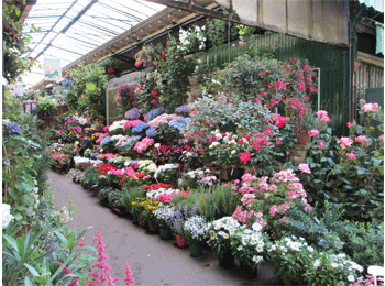 エリザベス二世