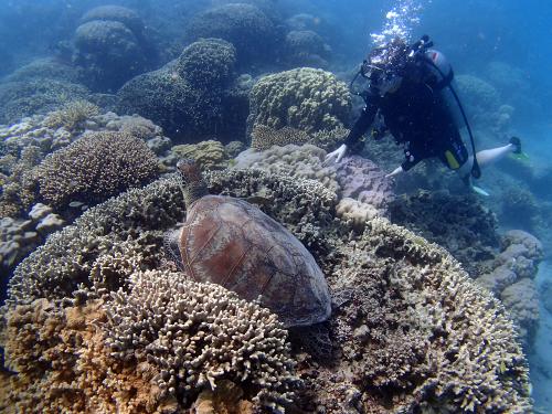 こんなにちかくで