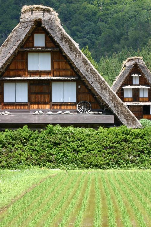 2015年 白川郷冬のライトアップ １