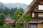 合掌造りと　いで湯の郷　白川郷　　７