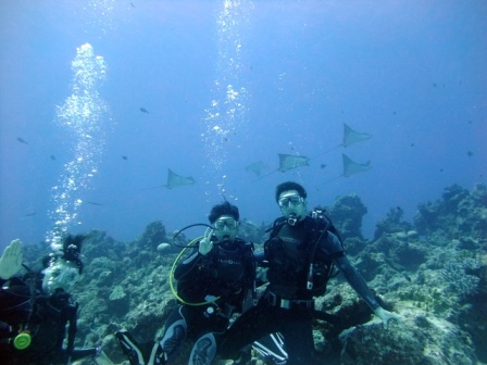 サイパン ダイビング