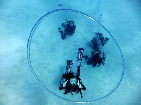 サイパン ダイビング