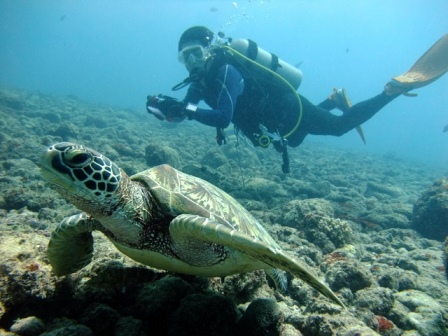 サイパン ダイビング